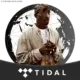 خرید اکانت تیدال Tidal