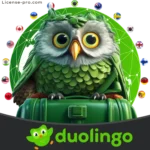 خرید اکانت دولینگو